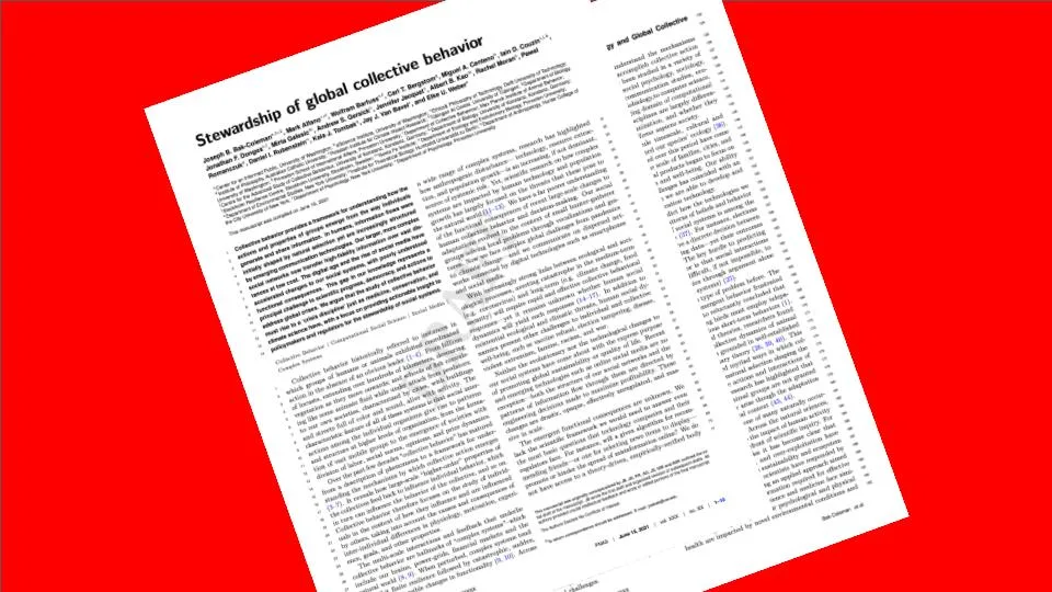 Study of Social Media, Collective Behavior Should be a 'Crisis Discipline,' Researchers Say