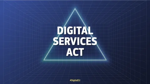 Commission accepts Temu's action plan to remedy the breach of the Digital Services Act